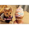 Animalitos Bonitos Para tu CRUSH 5