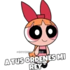 SOYCHOOMILO
A TUS ORDENES MI
REY