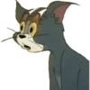 Tom y Jerry 5