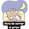 Hora de cerrar
el grupo