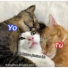 Animalitos Bonitos Para tu CRUSH 7
