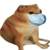 PERRITO MEME (CHEEMS) 8
