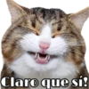 Claro que sí!