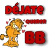 Garfield 10