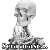Será acaso...o