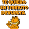 Garfield 13