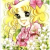 Candy 11