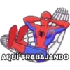 Spiderman 1 12