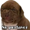 No porfavor