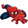 Spiderman 1 13