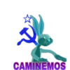 CAMINEMOS