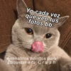 Animalitos Bonitos Para tu CRUSH 12