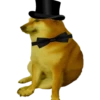 PERRITO MEME (CHEEMS) 17