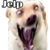 Jelp