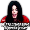 MICHAEL JACKSON 14