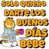 Garfield 17