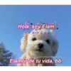 Animalitos Bonitos Para tu CRUSH 14