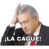 ¡LA CAGUÉ!