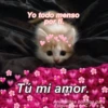 Animalitos Bonitos Para tu CRUSH 17