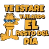Garfield 19