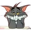 Tom y Jerry 17