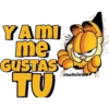 Garfield 21