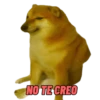 NO TE CREO
