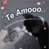 Animalitos Bonitos Para tu CRUSH 24