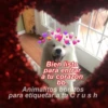 Animalitos Bonitos Para tu CRUSH 25