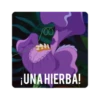 100
¡UNA HIERBA!