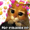Me enamoré