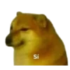 Sí
