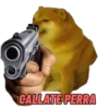 CALLATE PERRA