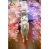 Gatos decorados 5