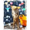 Gatos decorados 6
