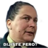 DIJISTE PERO?