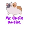 hámstercito letreros 10