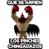 un gallo con muchos huevos 9