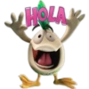 un gallo con muchos huevos 10