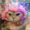 Gatos decorados 10