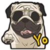 Yo
Rose