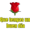 Que tengas un
buen dia