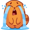 CO
I