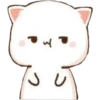 Gatitos Cute 14