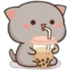 Gatitos Cute 16