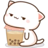 Mochis cat 3 (Yeisi) 18