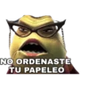 NO ORDENASTE
TU PAPELEO