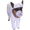 perritos memes 14