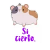 hámstercito letreros 17