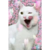 Gatos decorados 19